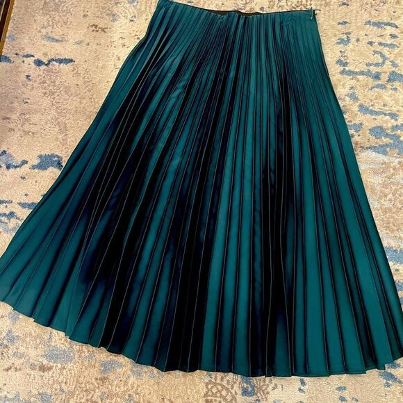 Beautiful Zara skirt - Picture 1 of 3